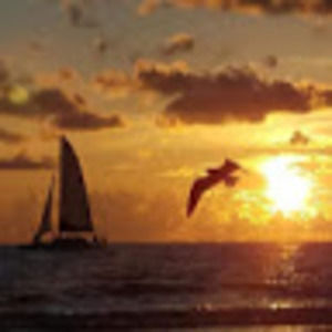 Meet your Posher, Glendell